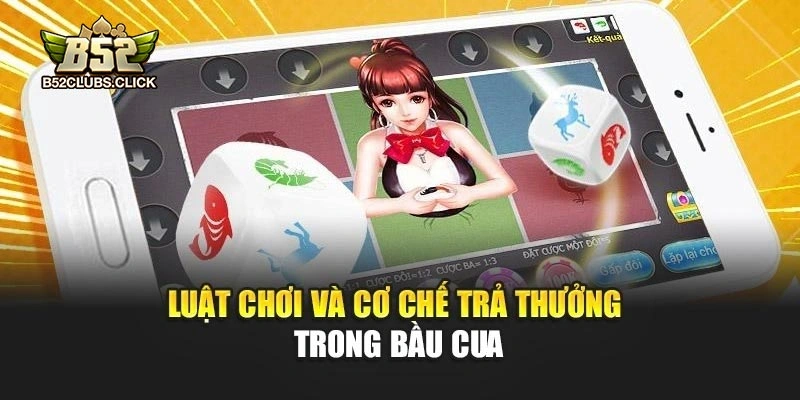 Luật chơi và cơ chế trả thưởng trong bầu cua