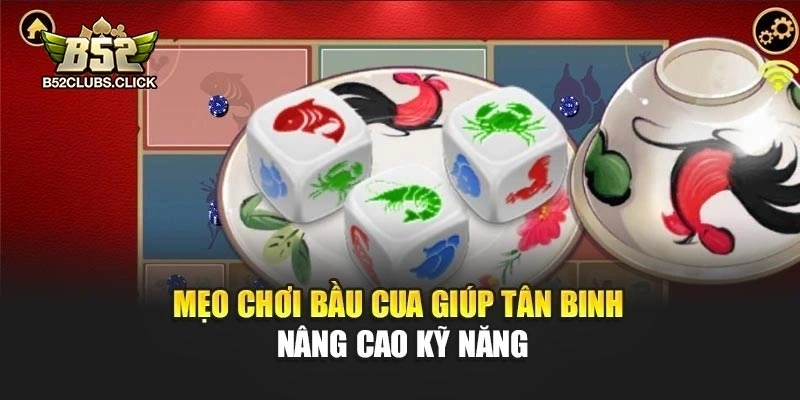 Mẹo chơi bầu cua giúp tân binh nâng cao kỹ năng
